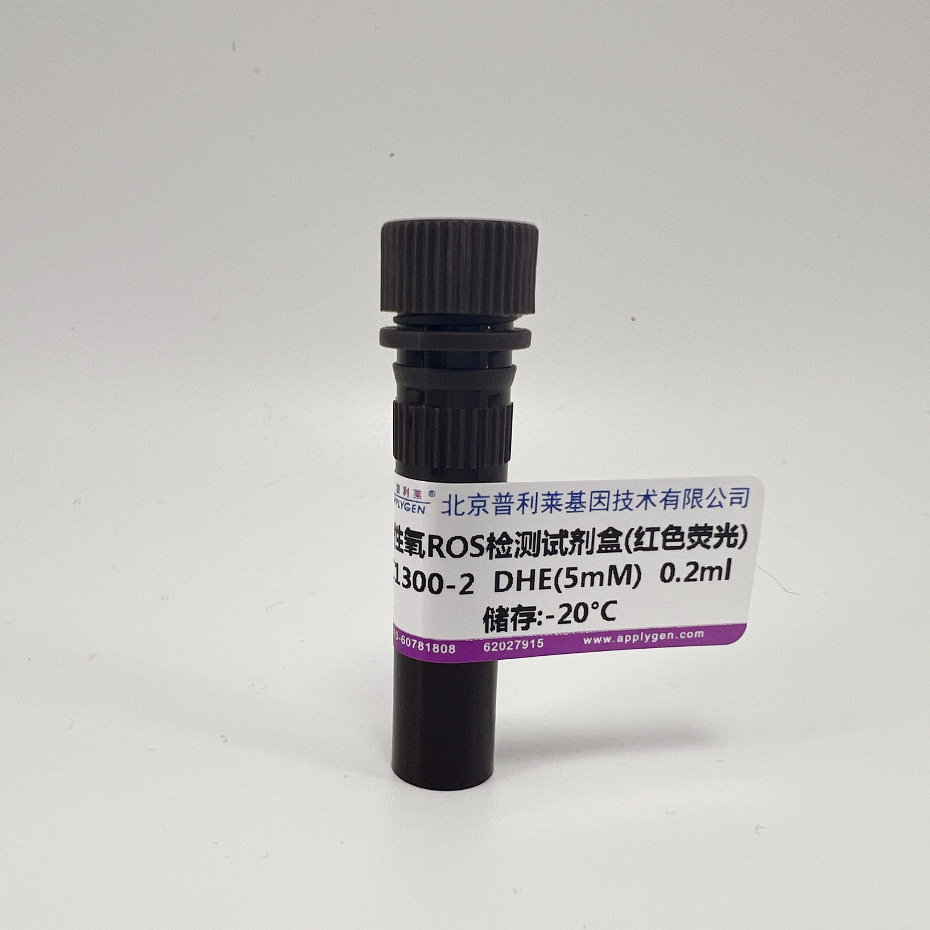 活性氧ROS检测试剂盒（红色荧光）  C1300-2   厂家直销，提供OEM定制服务，大包装更优惠 
