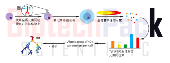 单细胞质谱流式技术分析