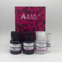 碱性磷酸酶染色试剂盒（蓝色）  E1043  厂家直销，提供OEM定制服务，大包装更优惠 