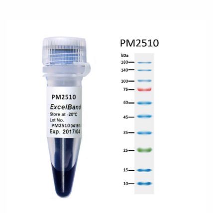 SMObio-PM2510-三色预染蛋白Marker（10-180KDa）