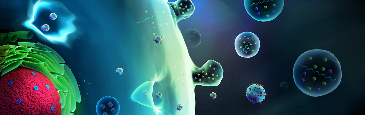 利用血浆中的细胞外囊泡作为乳腺癌治疗效果的预测工具