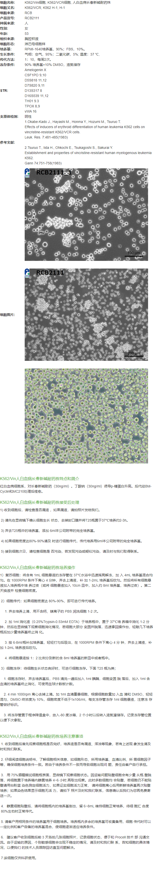 K562/Vin细胞, K562/VCR细胞, 人白血病长春