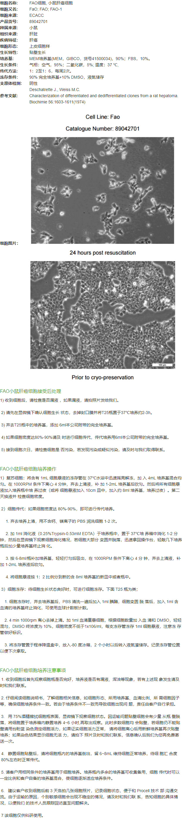 FAO细胞, 小鼠肝癌细胞
