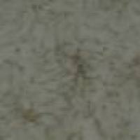 ab5320 NG2 CHOND SULF PROTEO, RB X-100UG