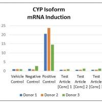 测试物对肝脏药物代谢酶CYP450诱导作用的体外研究（mRNA表达量，三个单供体的人原代肝细胞，6个浓度）