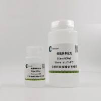 青链霉素混合液(100×)