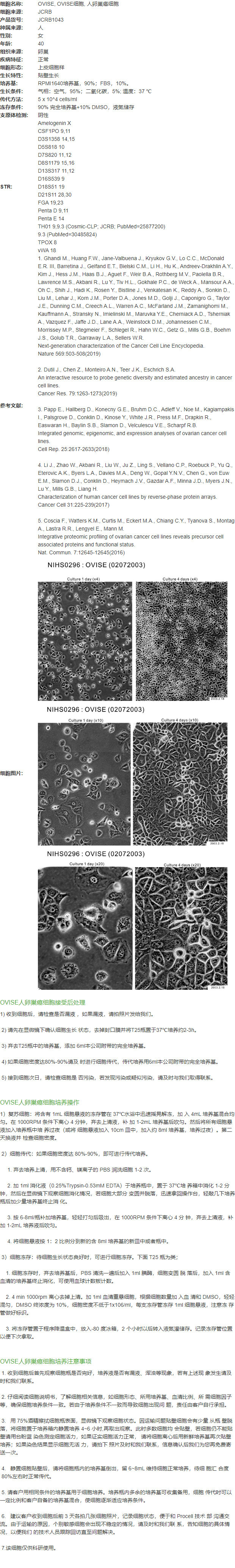 OVISE, OVISE细胞, 人卵巢癌细胞