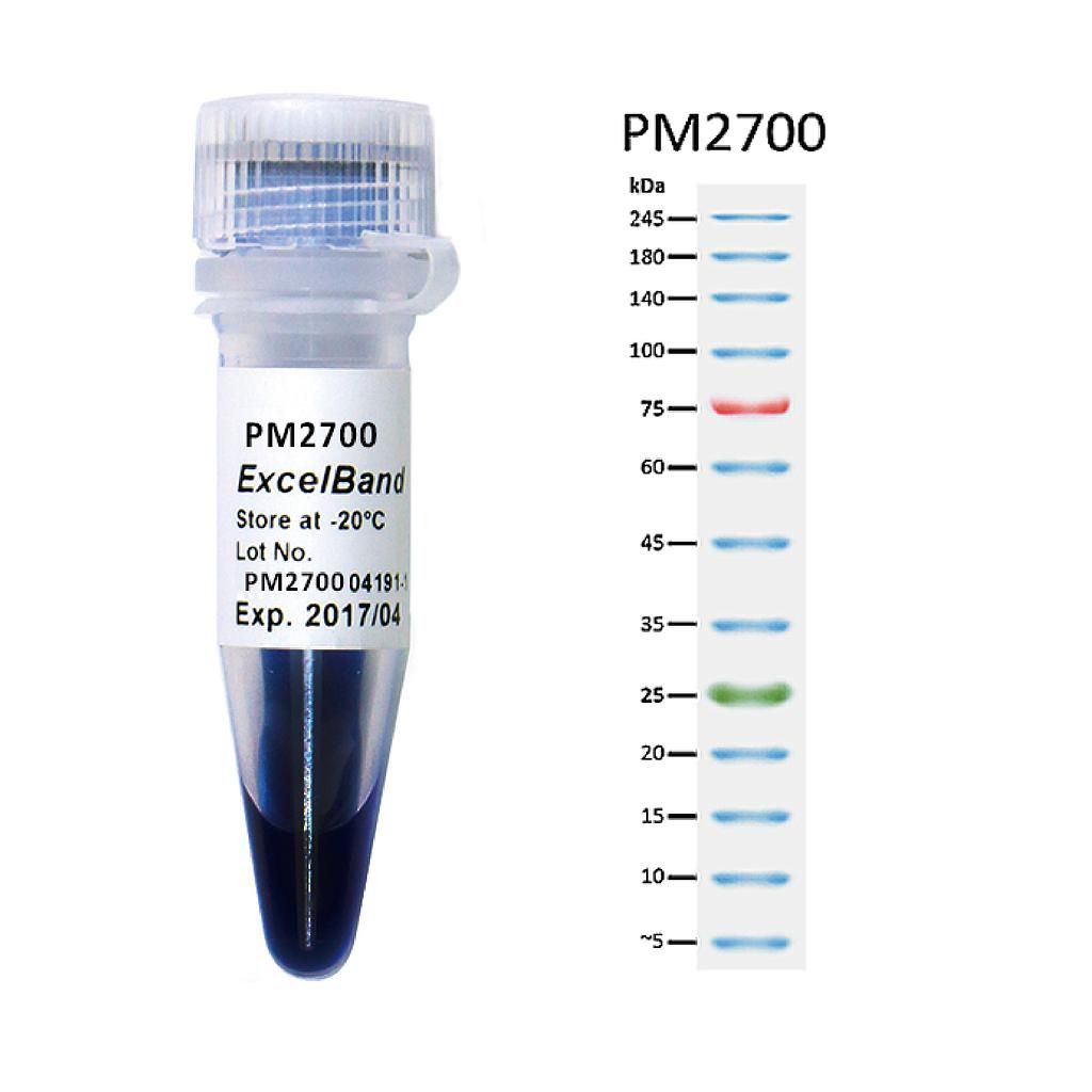 SMObio-PM2700-三色预染蛋白Marker（5-245KDa）
