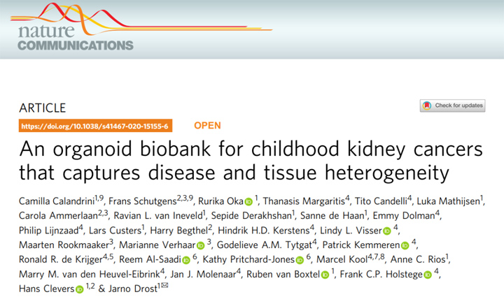 Nature子刊：儿童肾癌类器官生物样本库的构建