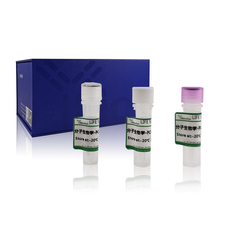 甲型流感（禽流感）病毒通用染料法荧光定量RT-PCR试剂盒