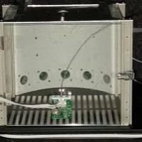 大小鼠五孔注意力测试系统