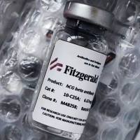 Mouse anti Human IgG4