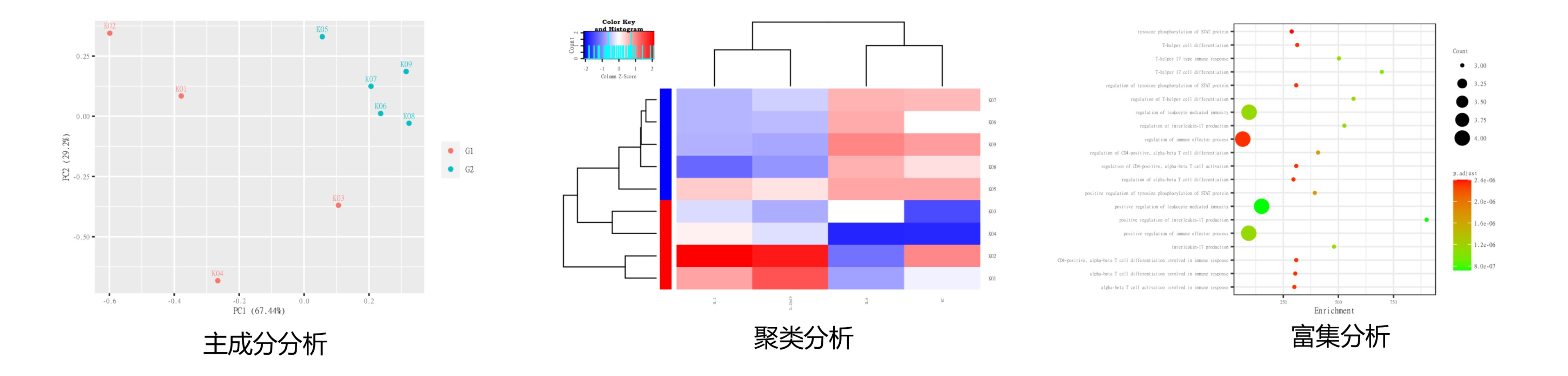 技术资料图片4