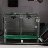 大小鼠穿梭箱 (Shuttle Box)