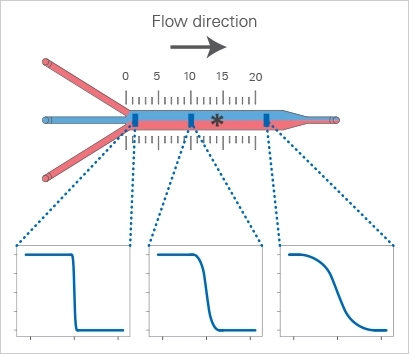 IBIDI易必迪µ-Slide 三合一通道培养载玻片
