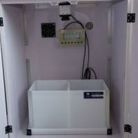 条件性位置偏爱系统