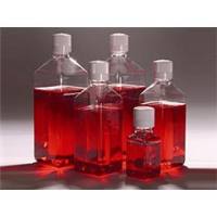 原代平滑肌细胞培养基