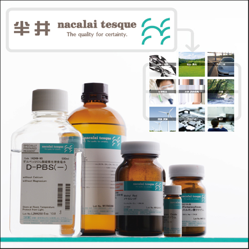 即用型DNA分子量标准  100bp DNA Ladder 