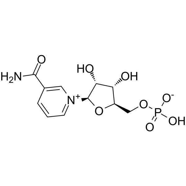 β-nicotinamide mononucleotide 