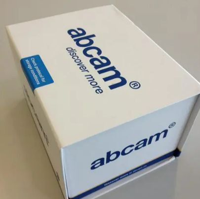 Anti-Acrosin antibody [ACR-2]