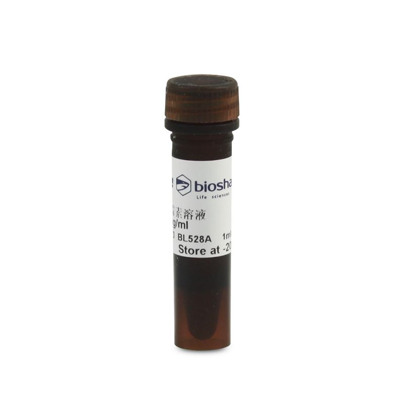 BL528A  嘌呤霉素溶液