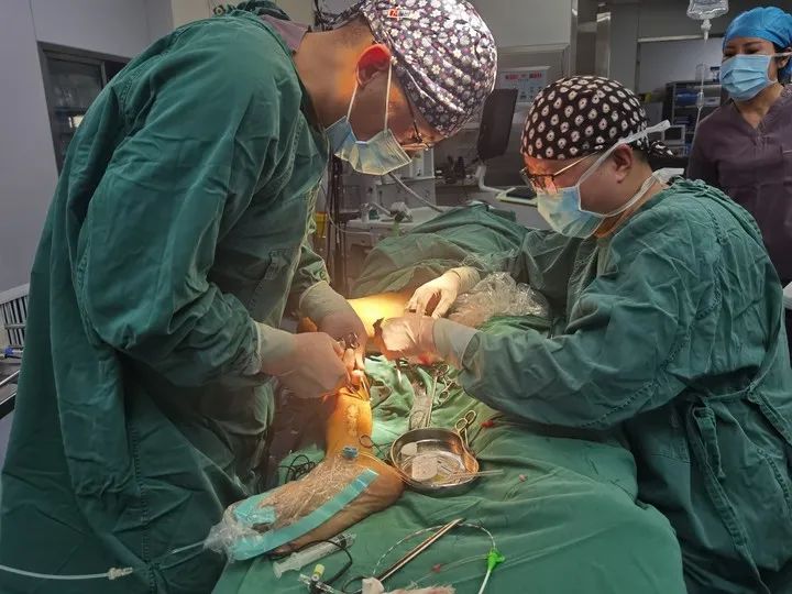 台州市肿瘤医院成功开展首例静脉曲张射频消融术