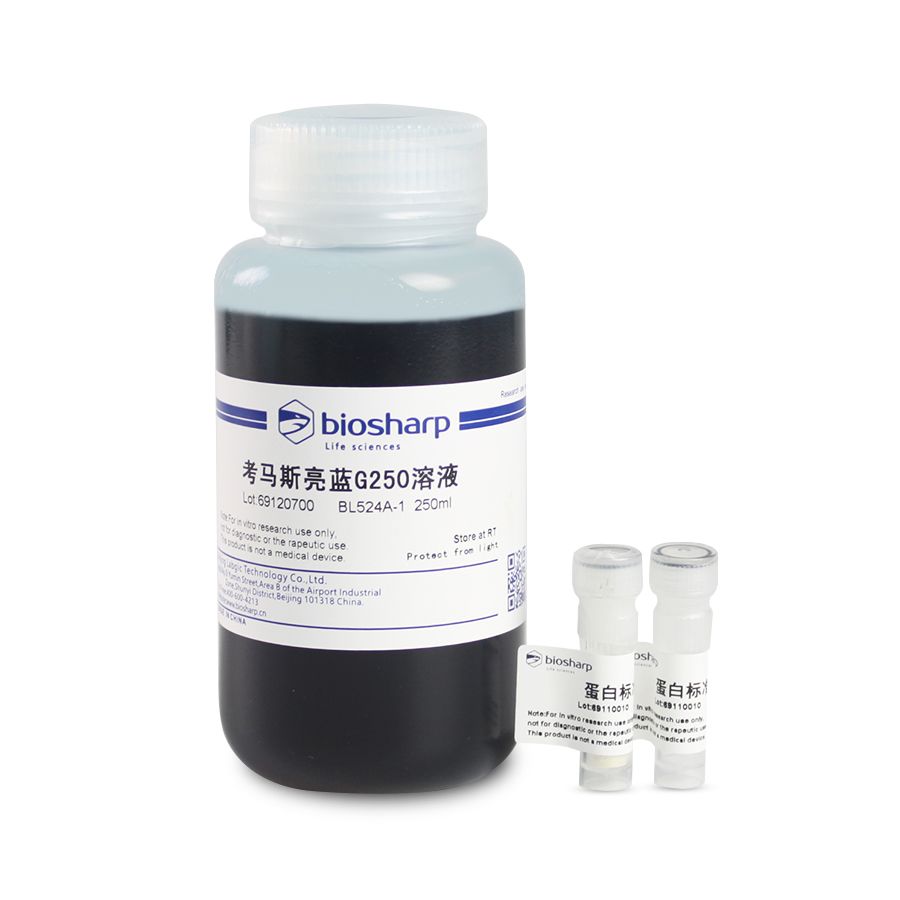 BL524A bradford法蛋白定量检测试剂盒