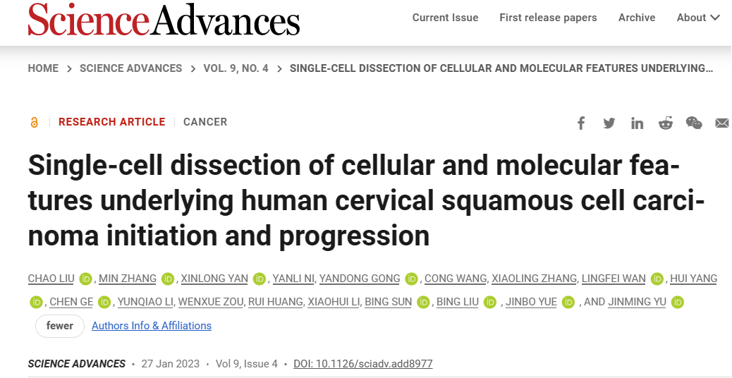 Science子刊| 多色免疫荧光标记联合转录组测序助力解析宫颈癌的单细胞分子特征