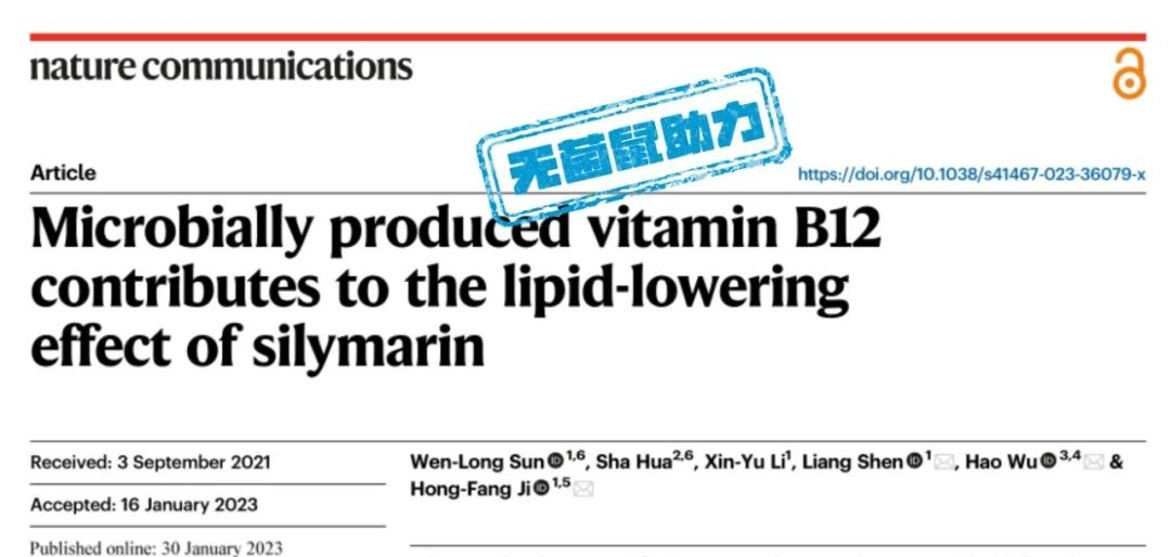 复旦大学吴浩/山东理工大学申亮/纪洪芳揭示水飞蓟素通过肠道微生物合成的维生素B12发挥降脂保肝的功效