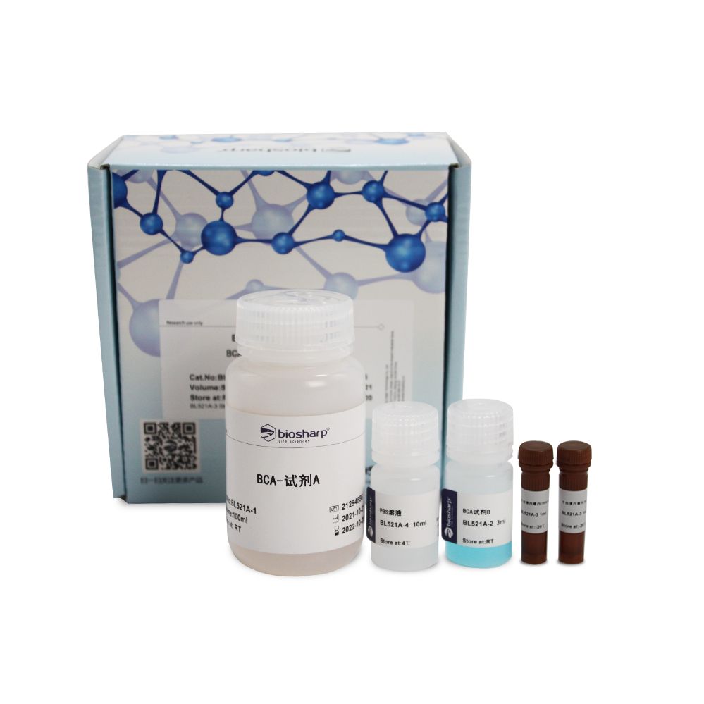 BL521A BCA蛋白浓度测定试剂盒