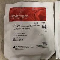Invitrogen货号S7578现货SYTO 16绿色荧光核酸染色剂-1mM的DMSO溶液13611631389微信同号