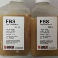 澳洲胎牛血清ScienCell货号0500现货19121878899上海睿安生物