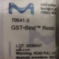 Millipore(Novagen)货号70541融合标签蛋白纯化树脂GST•Bind™ Resin上海睿安生物13611631389