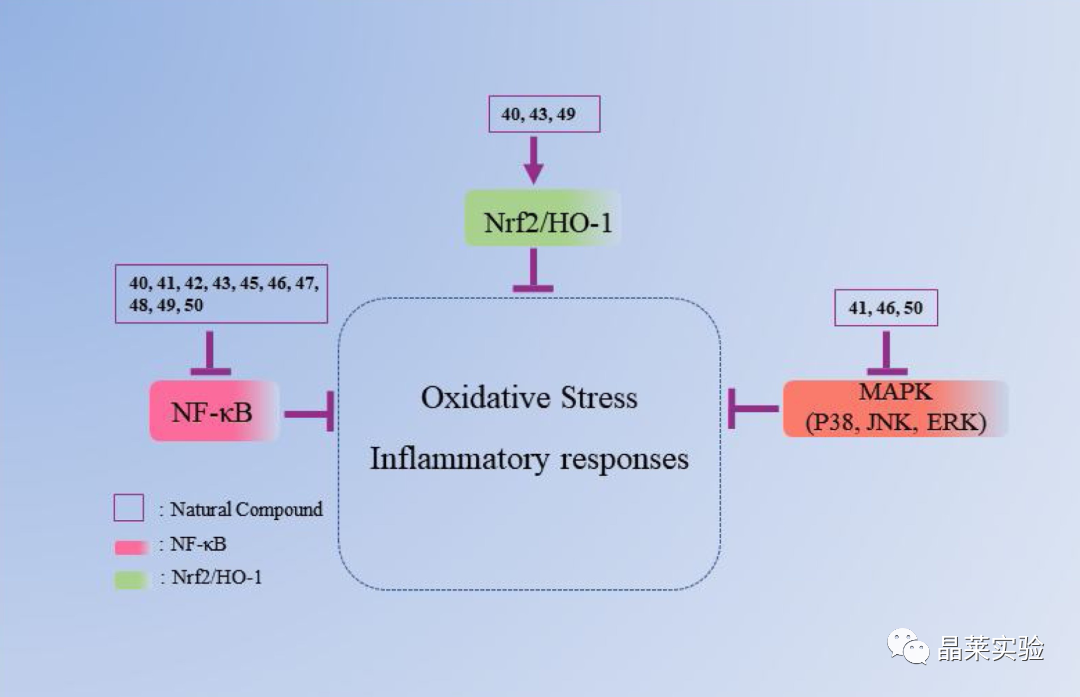 技术资料图片30