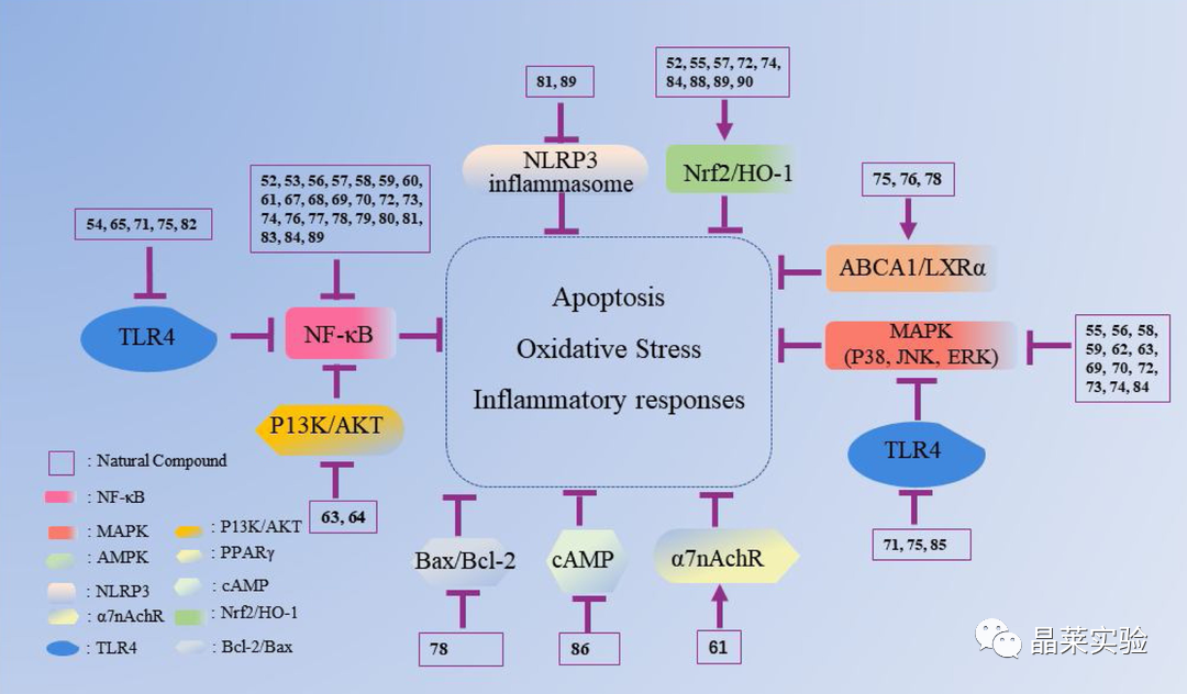 技术资料图片32