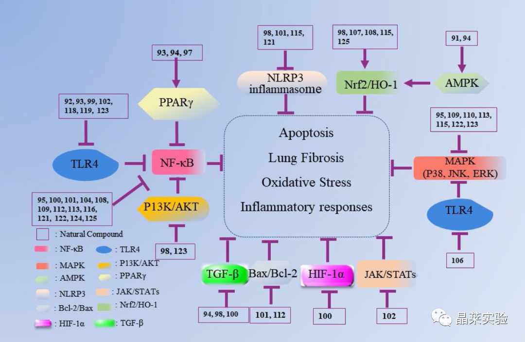 技术资料图片34