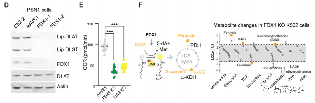 技术资料图片10