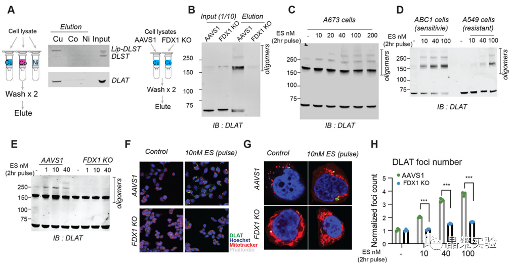 技术资料图片12