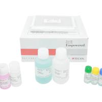 催产素试剂盒（人ELISA试剂盒）