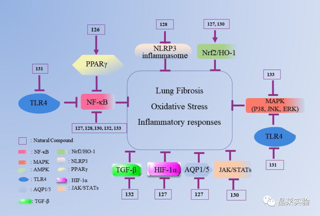 技术资料图片36