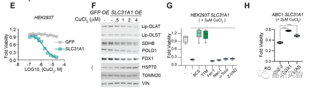 技术资料图片13