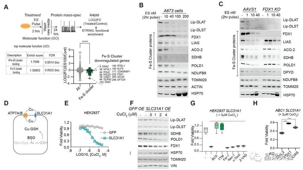 技术资料图片11