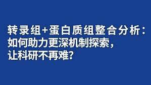 丁香实验推荐阅读