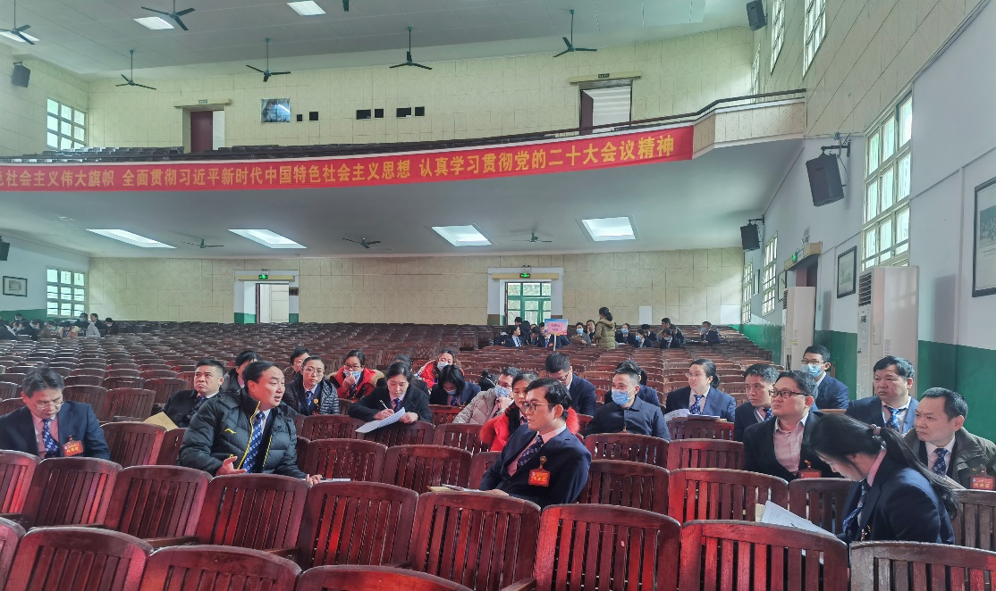 广西壮族自治区南溪山医院召开第十二届职工代表大会暨工会会员代表大会第三次会议