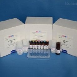 人（Human）白细胞介素17A（IL-17A）ELISA试剂盒