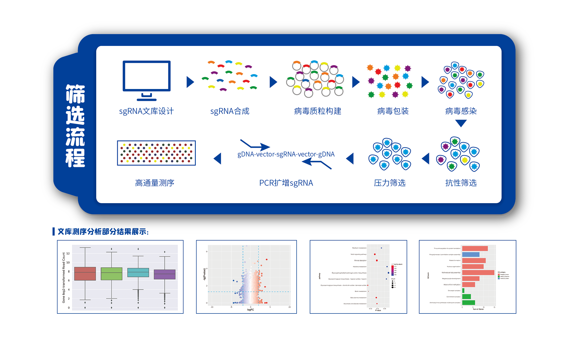 bti体育·(中国)官方网站APP下载