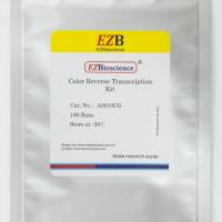 带gDNA Remover的彩色逆转录试剂盒 