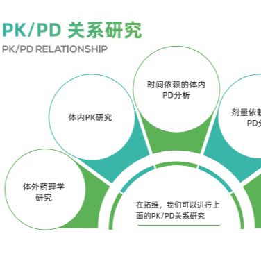 PK-PD关系分析