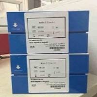 小鼠嗜酸性粒细胞阳离子蛋白(ECP)ELISA试剂盒