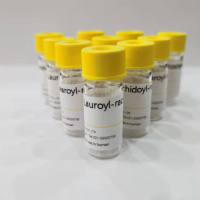 氯酸盐内标 氯酸盐-[18O3]  